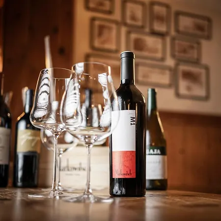 伊娃村酒店 4* 萨尔巴赫